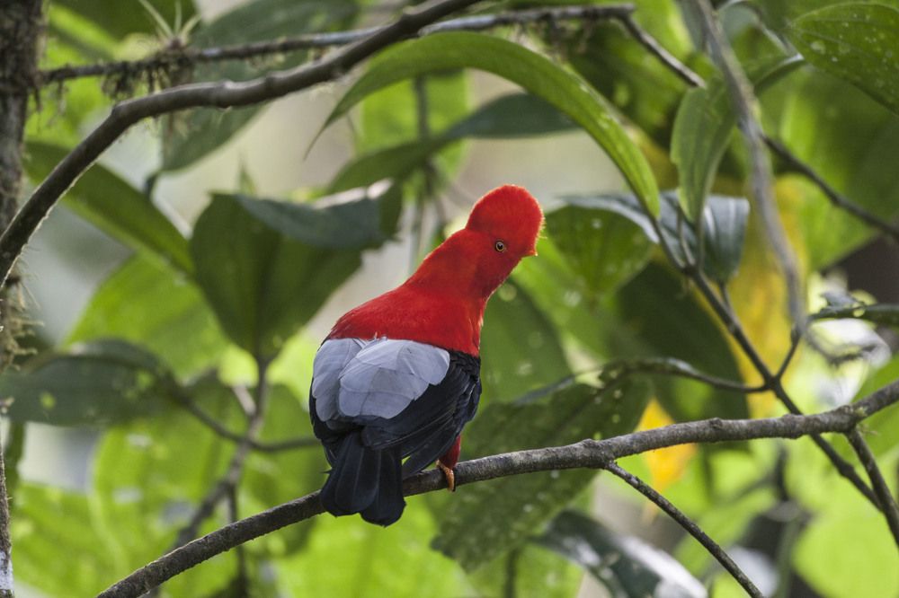 Фотография автора Oskars Smelins