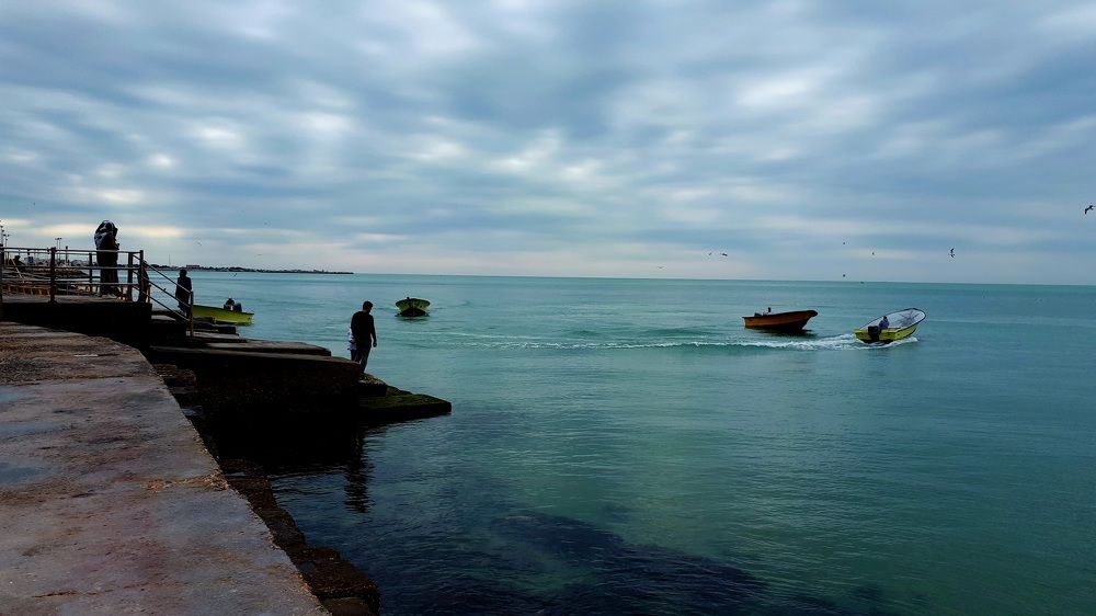 Photograph by Ghazal Ardeshirzadeh