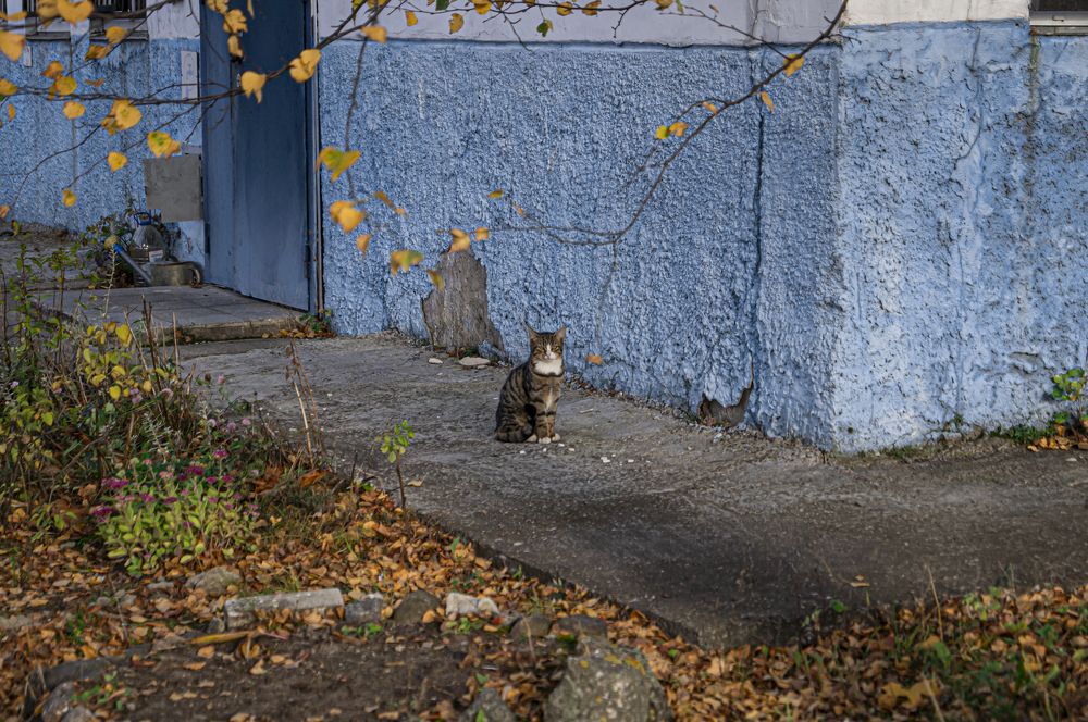 Photograph by Андрей