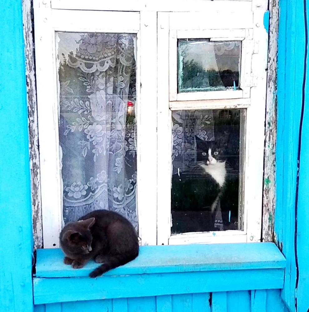 Фотография автора Галина Бобкина