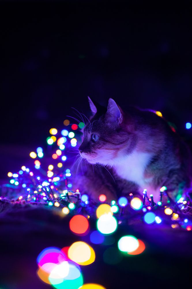 Photograph by Эльвира Большова