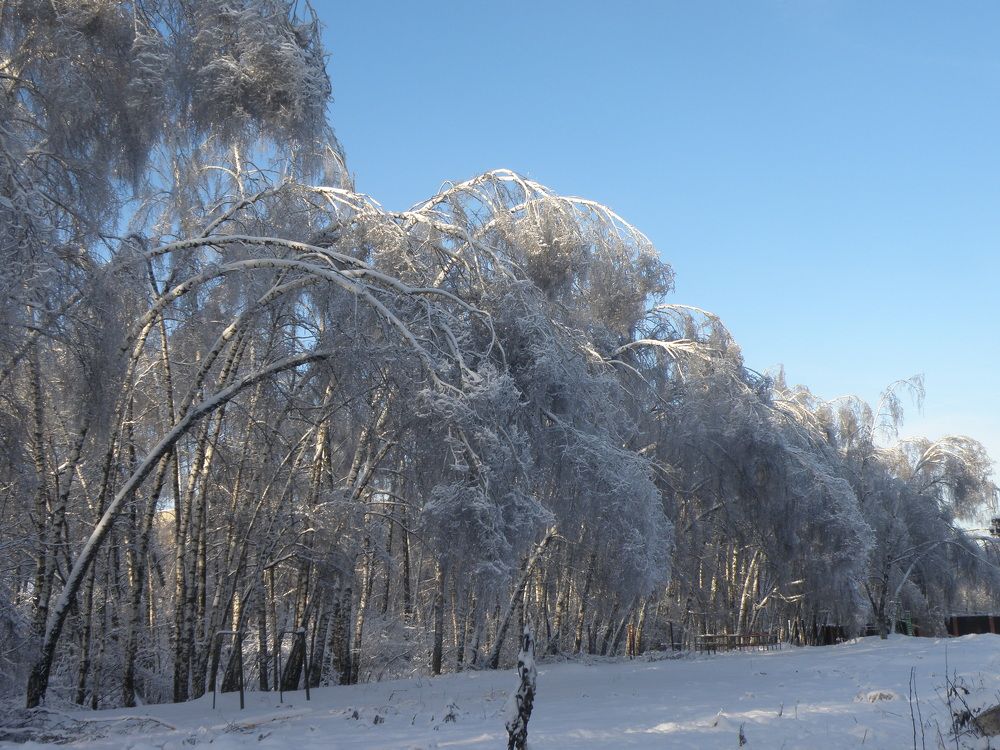 Photograph by Алфия Бугакова