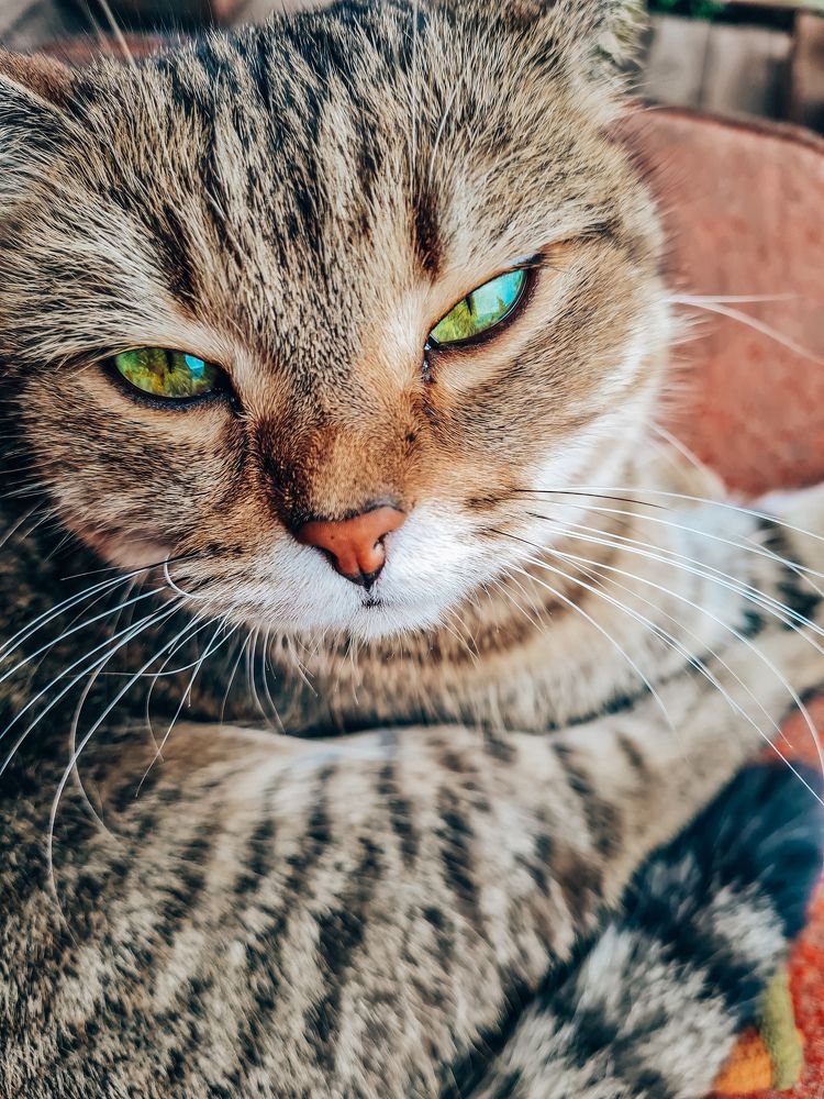 Photograph by Евгения Бобрик