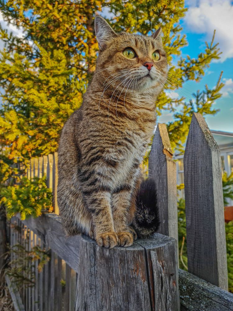 Photograph by Евгения Бобрик