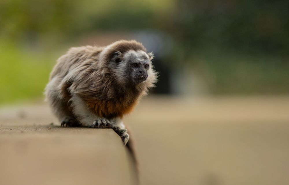 Photograph by Евгения Кузьмина