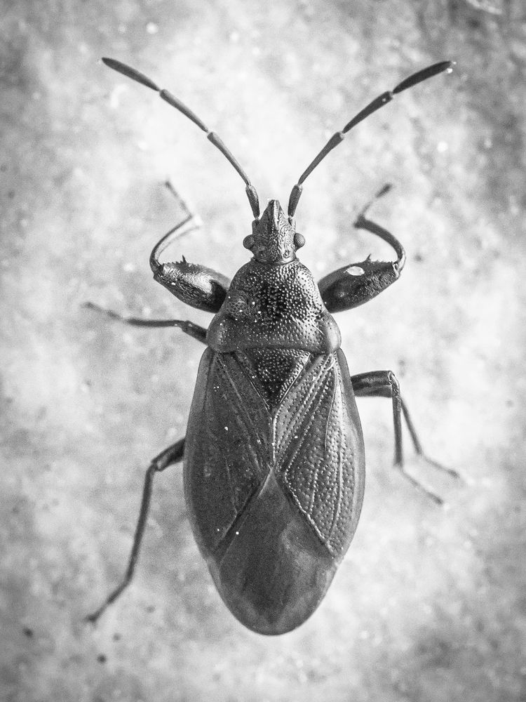 Photograph by Sergey