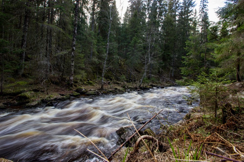 Photograph by Роман Якута