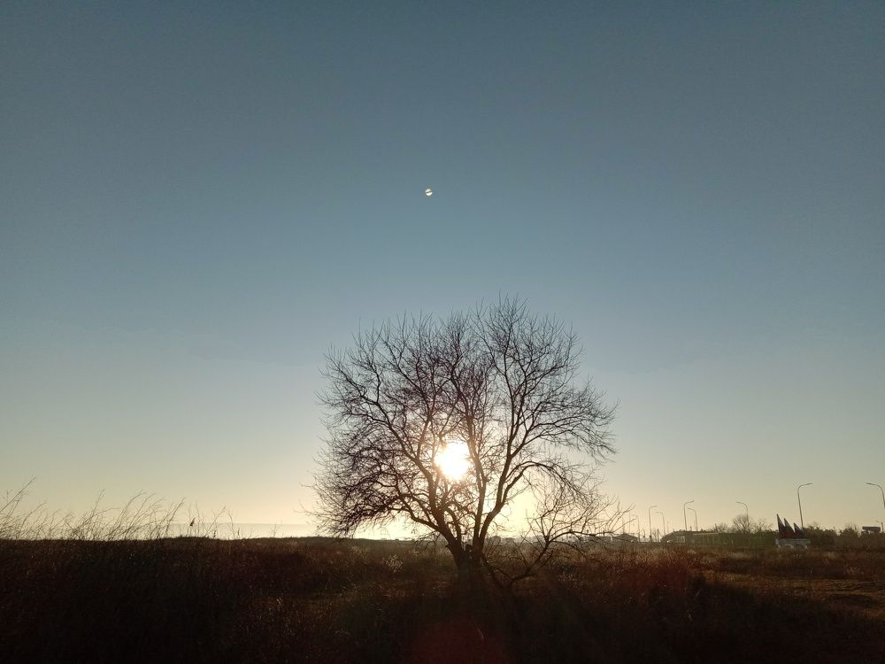 Photograph by Стаскевич Татьяна