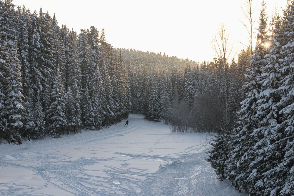 Photograph by Виктория Руснак