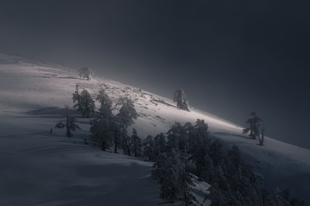 Photograph by Nick Georgiadis