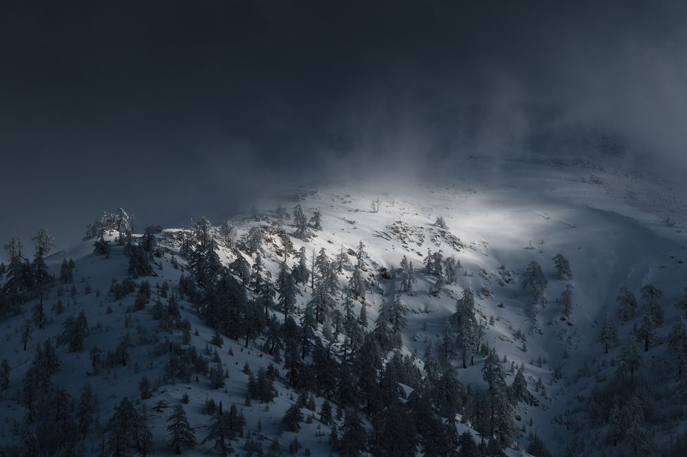 Photograph by Nick Georgiadis