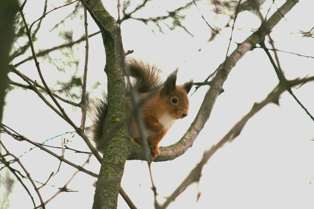 Photograph by Андрей Денисов