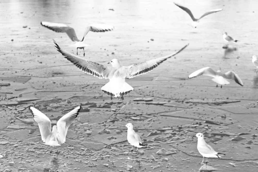 Photograph by Tatiana Serova