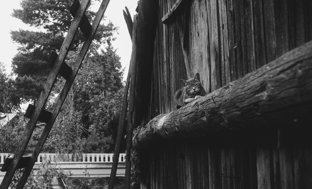 Photograph by Петр Зверев
