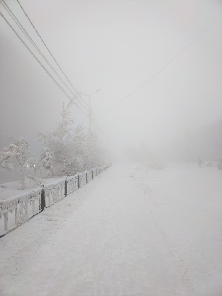 Photo #8703767