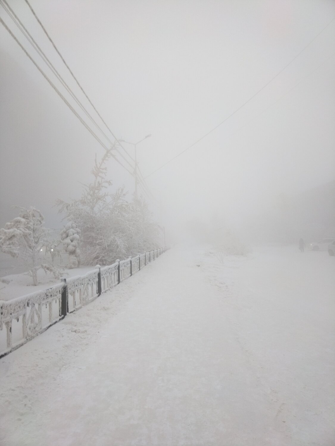 Photo #8703767