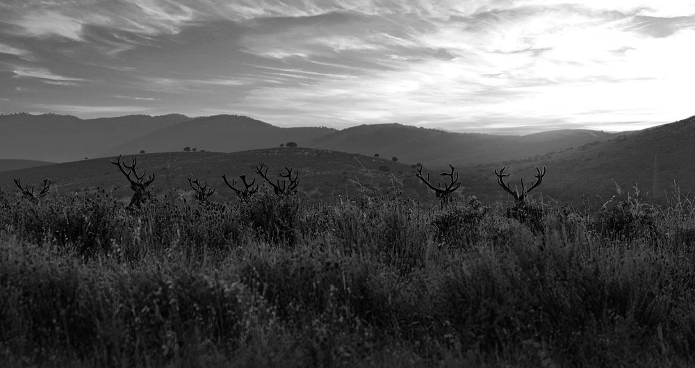 Photograph by Jose luis trujillo