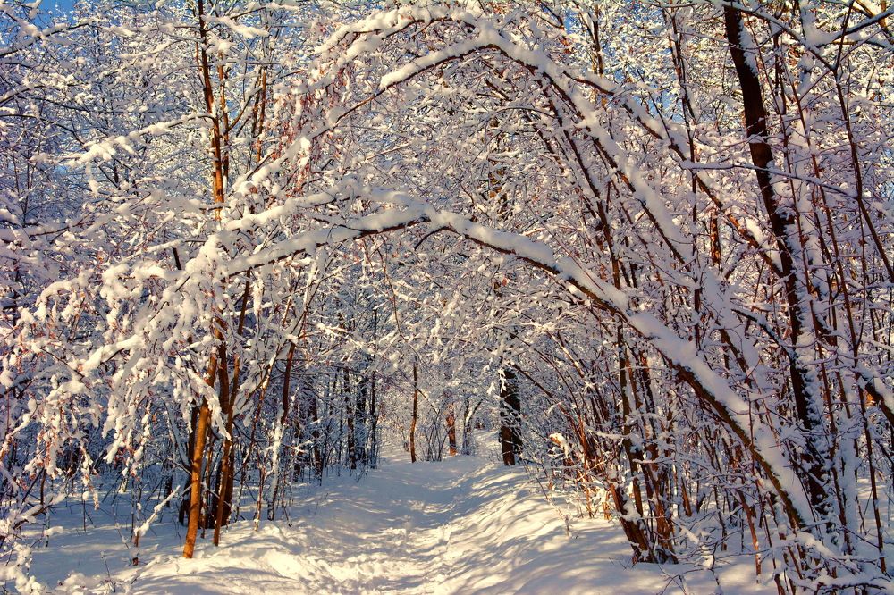 Photograph by вячеслав милов