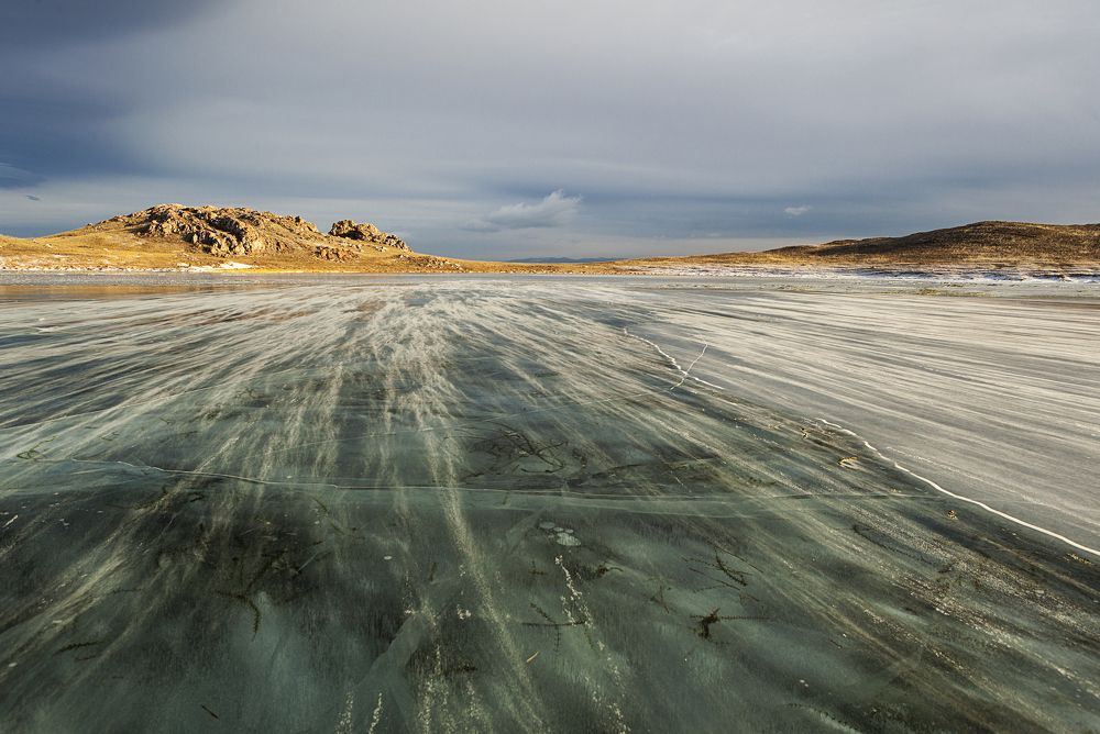 Фотография автора Лариса Кисурина