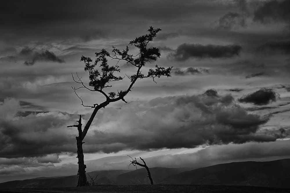 Фотография автора Лариса Кисурина