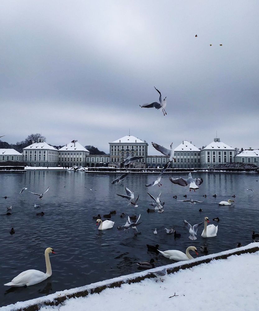 Photograph by Alekseeva Marina