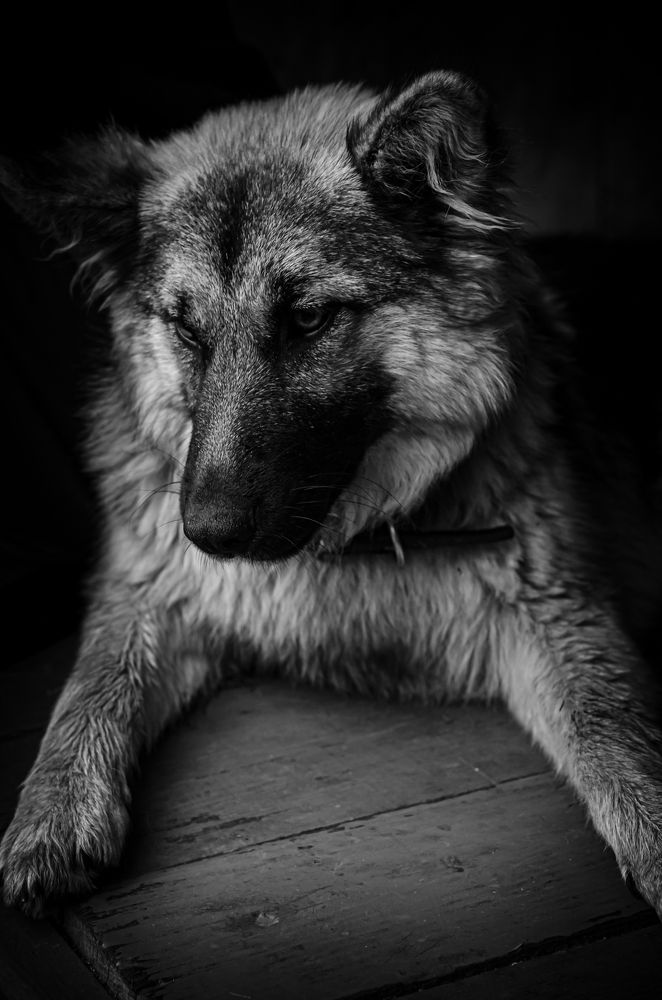 Photograph by Елена Берсенёва