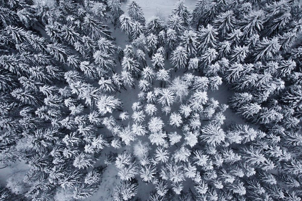 Photograph by elga_fly