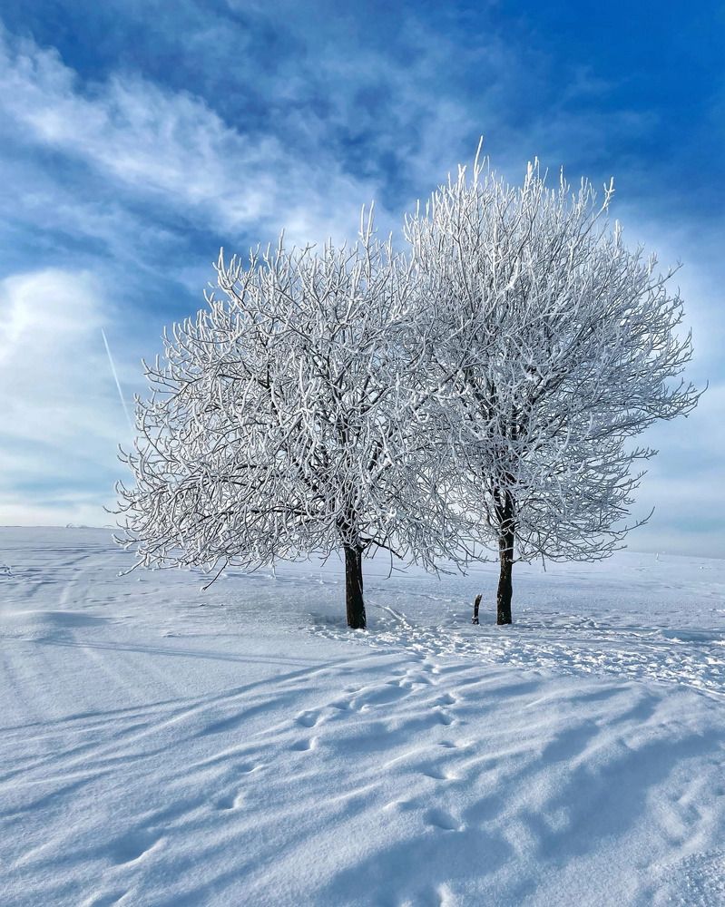 Photograph by elga_fly