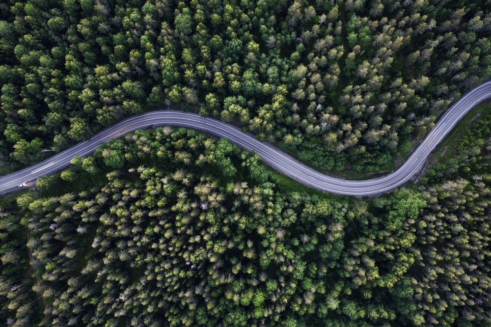 Дорога в Карелию