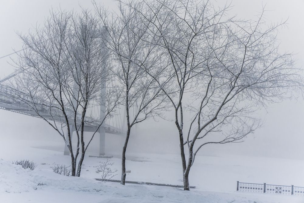 Photograph by Александр Пургин