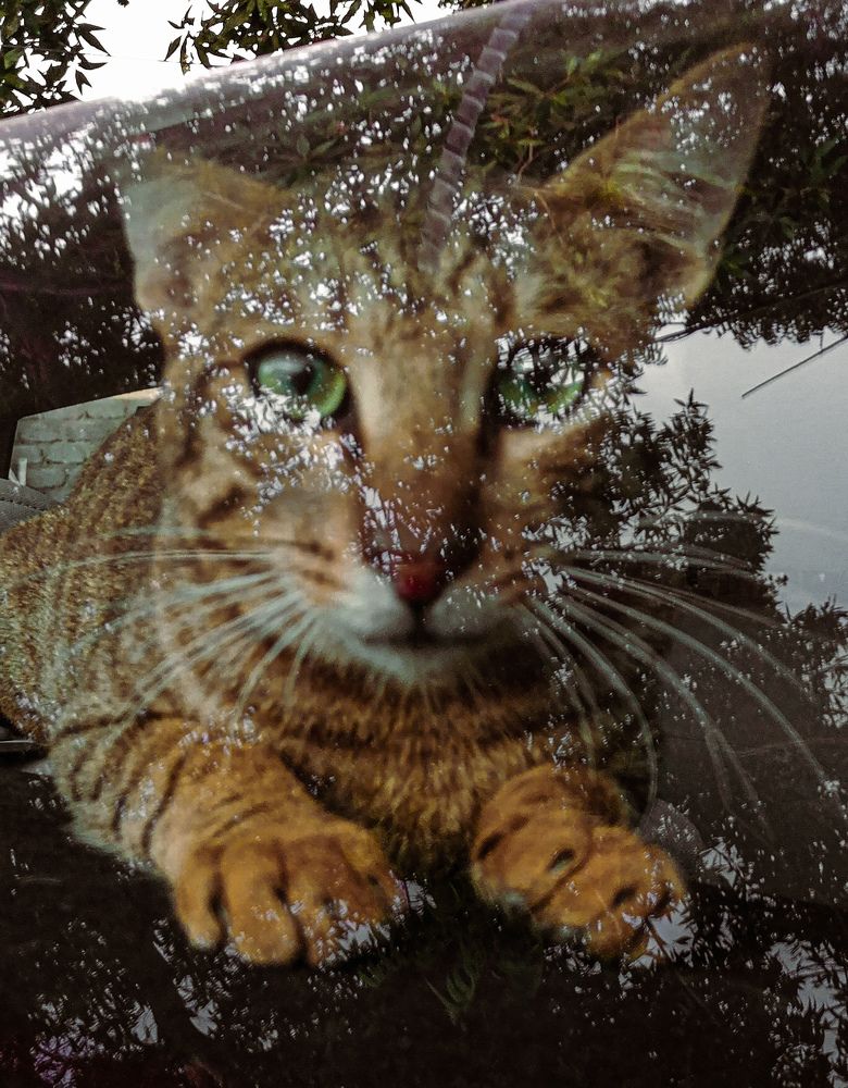 Фотография автора Abhitha