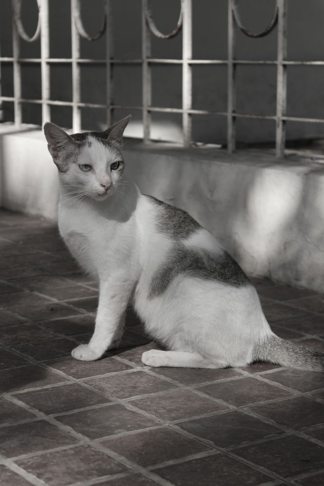 Photograph by Rajat Sreekumar