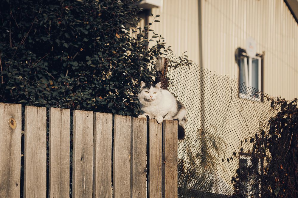 Photograph by Ivan Osipov