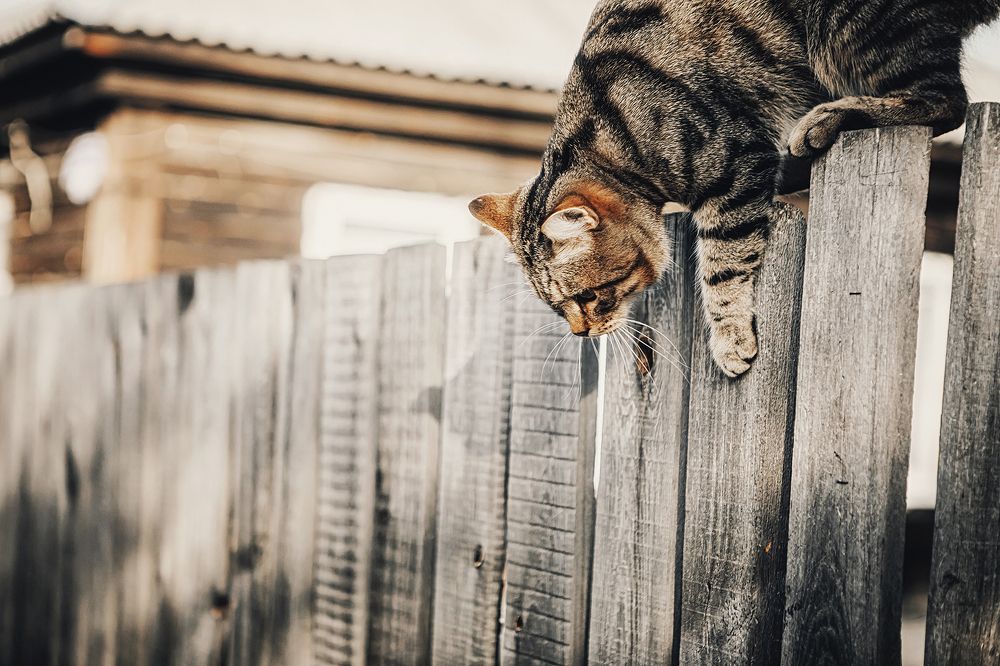 Photograph by Ivan Osipov