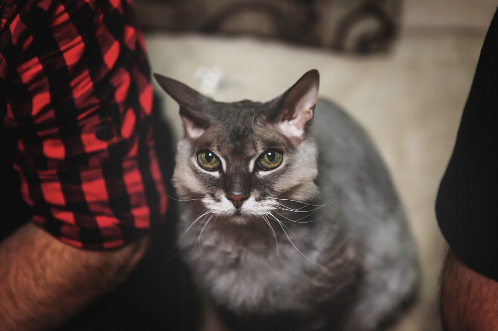 Photograph by Ivan Osipov