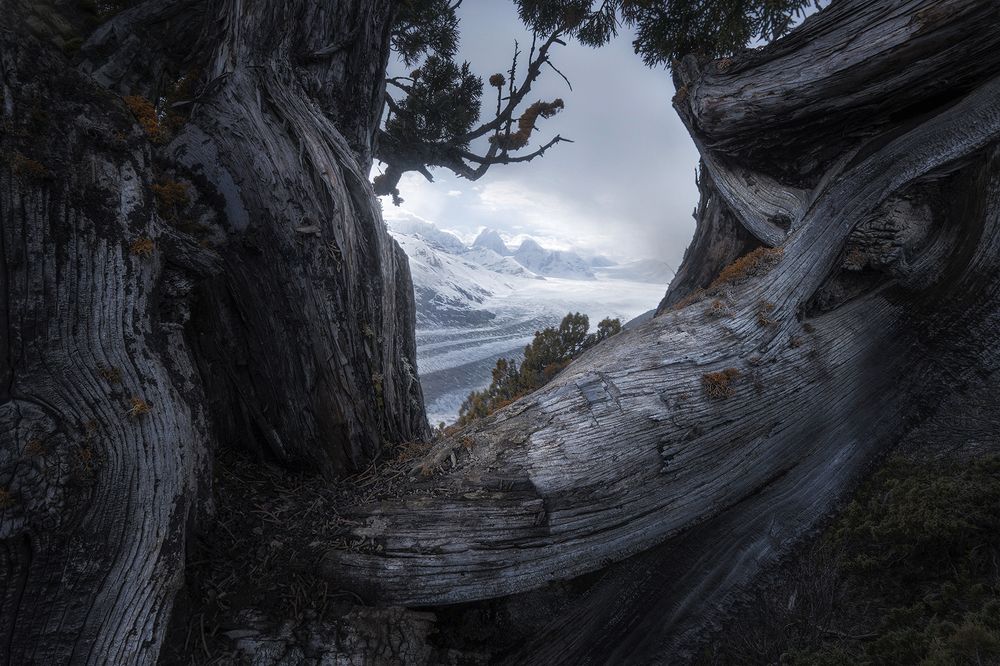 Photograph by yinzhi