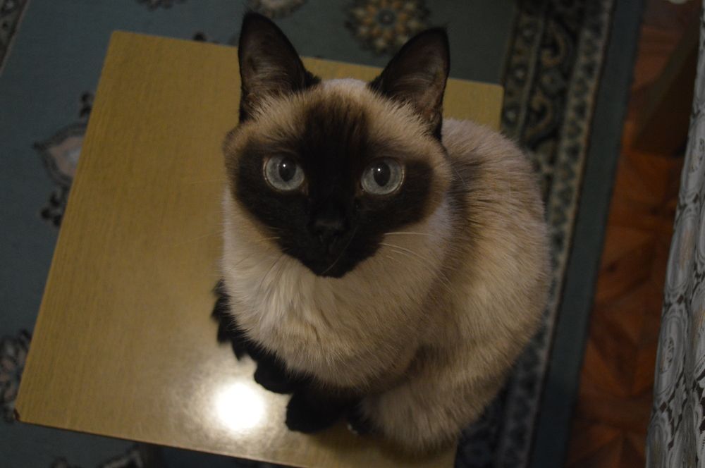 Photograph by Евгений Смелов