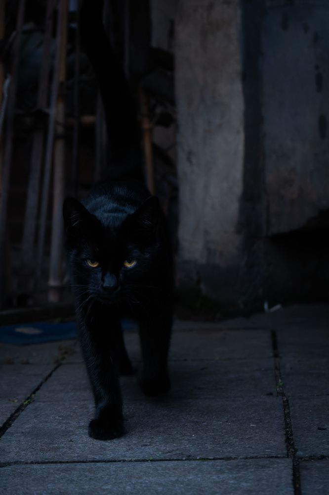 Photograph by Vladimir