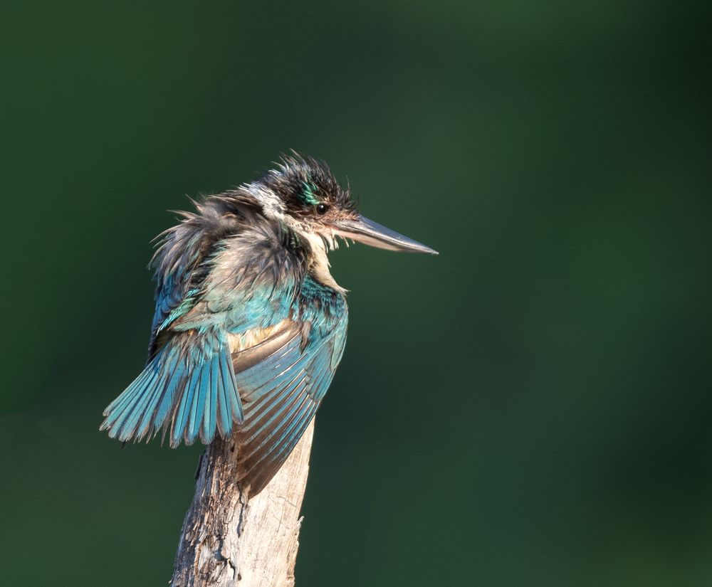 Photograph by Dennis Vagner