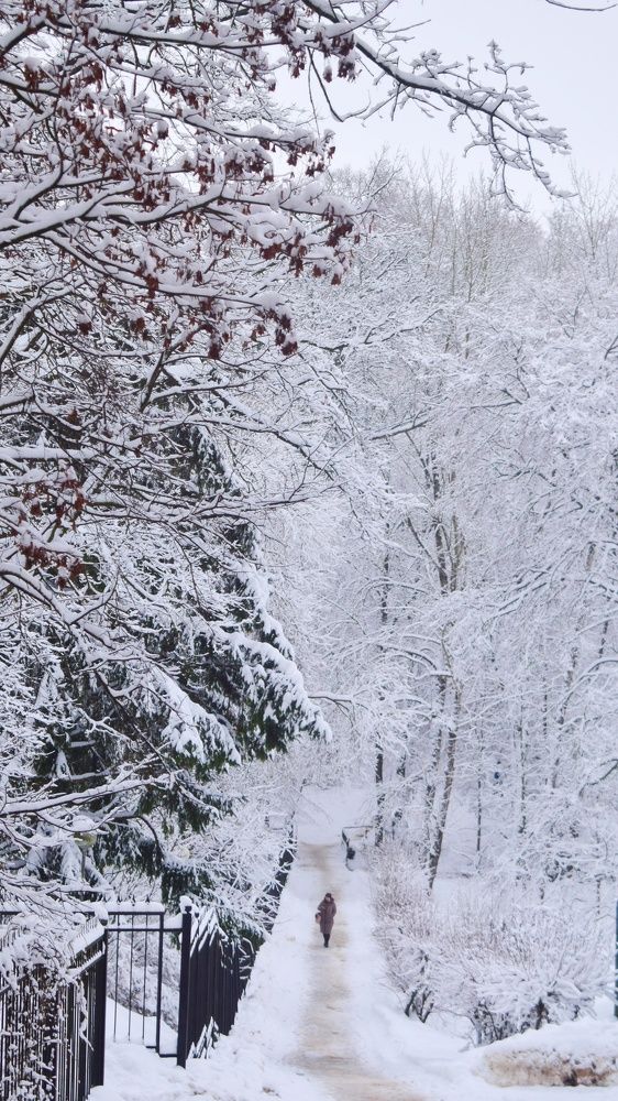 Photograph by Алеся Цеван