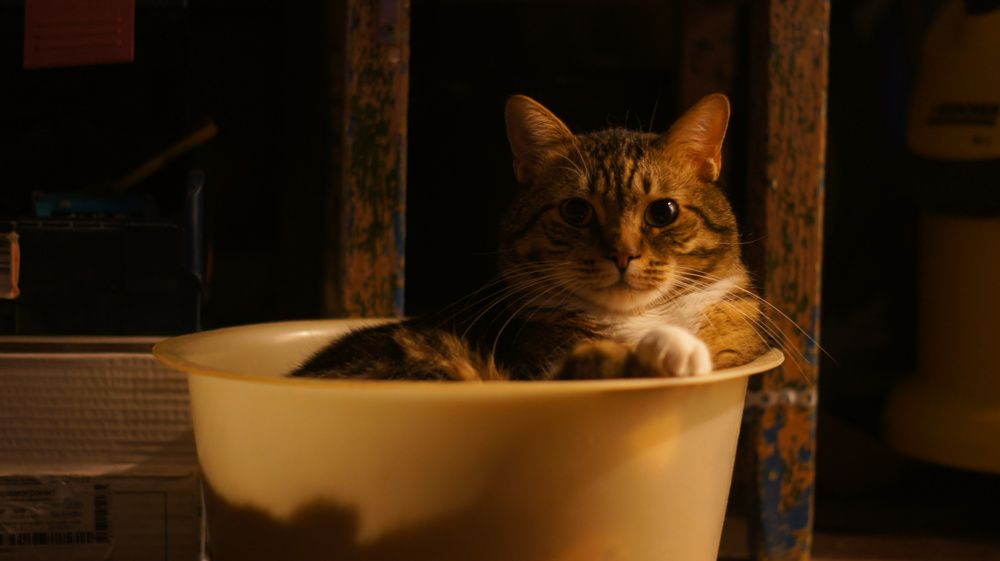 Photograph by Сергей Герасимов