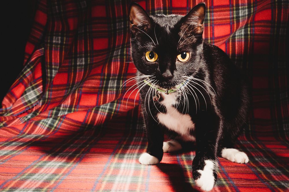 Photograph by Андрей Шишокин