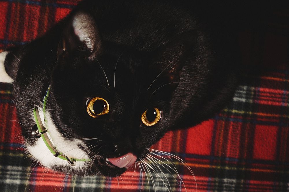 Photograph by Андрей Шишокин