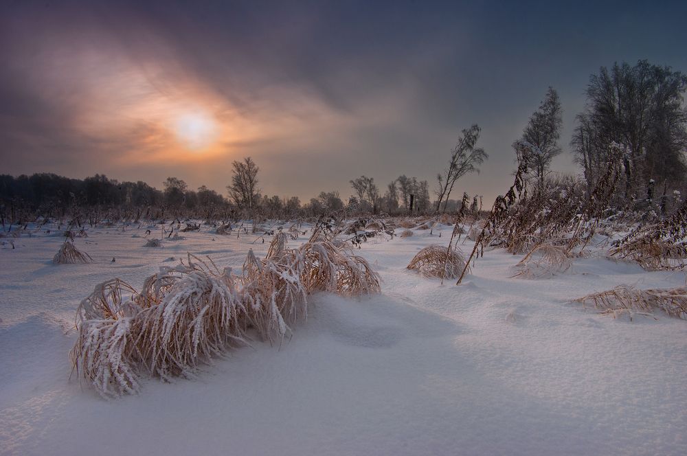 Photograph by Чичкин Валерий