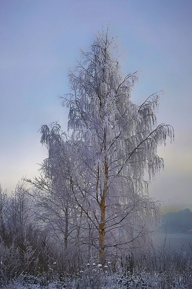 Photograph by Сергей Островский