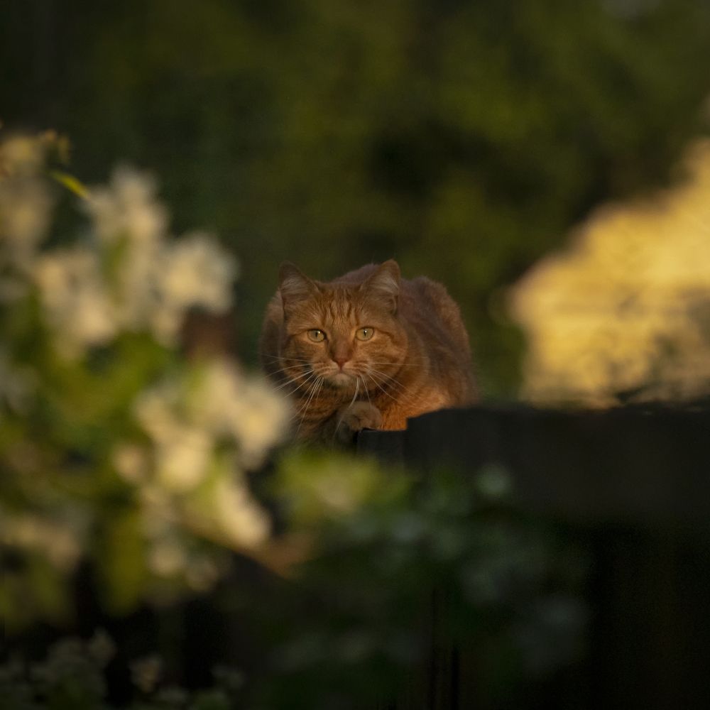 Photograph by Ольга Католичук