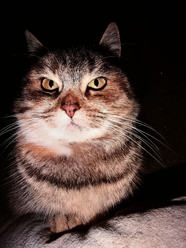 Photograph by Наталья Липко