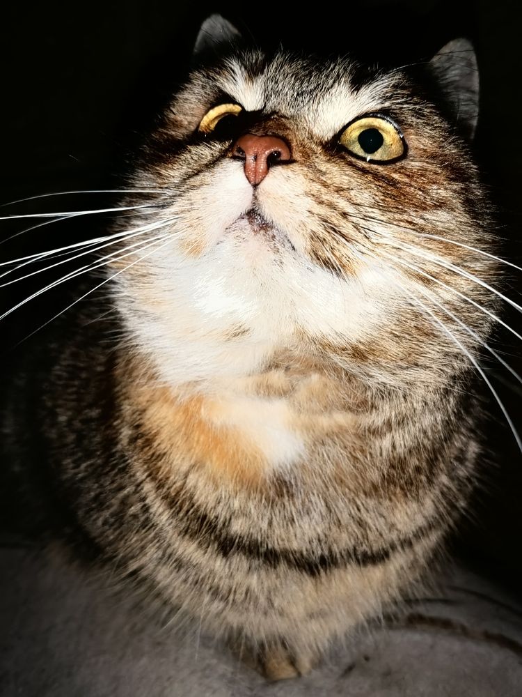 Photograph by Наталья Липко