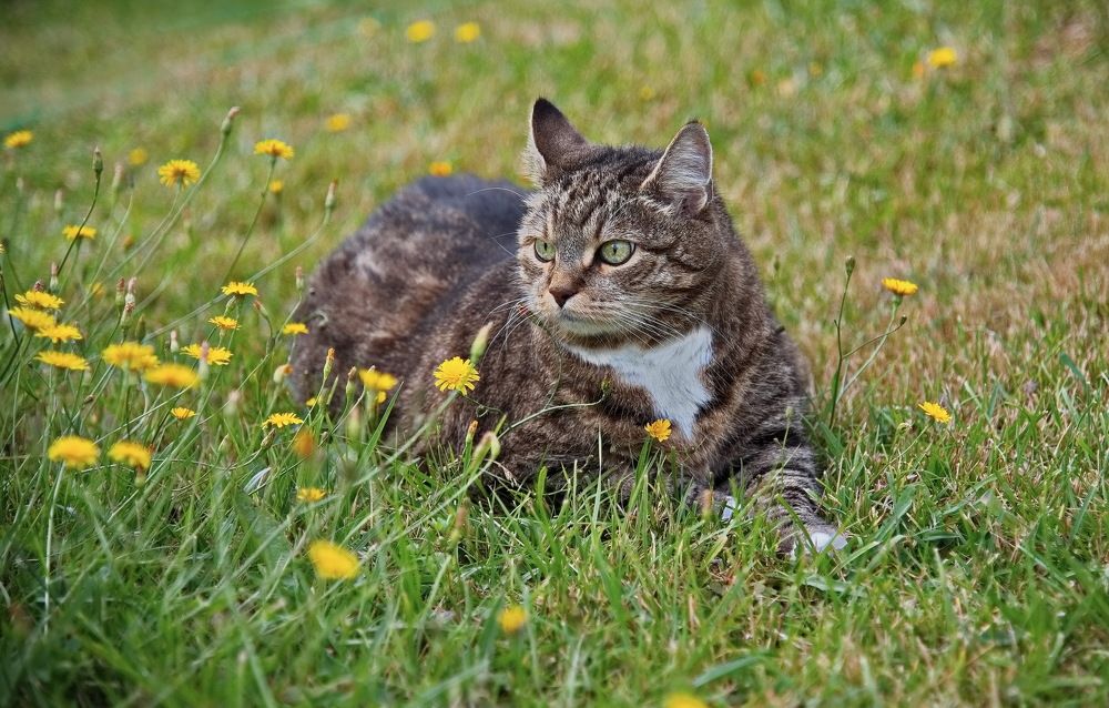 Photograph by Лидия Ушакова