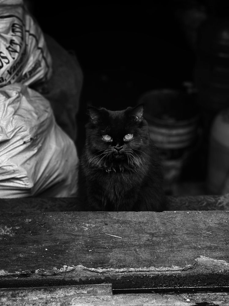 Photograph by sagar pavale